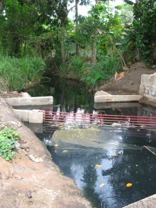 Garbage trap put in at head of derivation canal going to farmers' fields through Learning Alliance in IWMI WASPA project